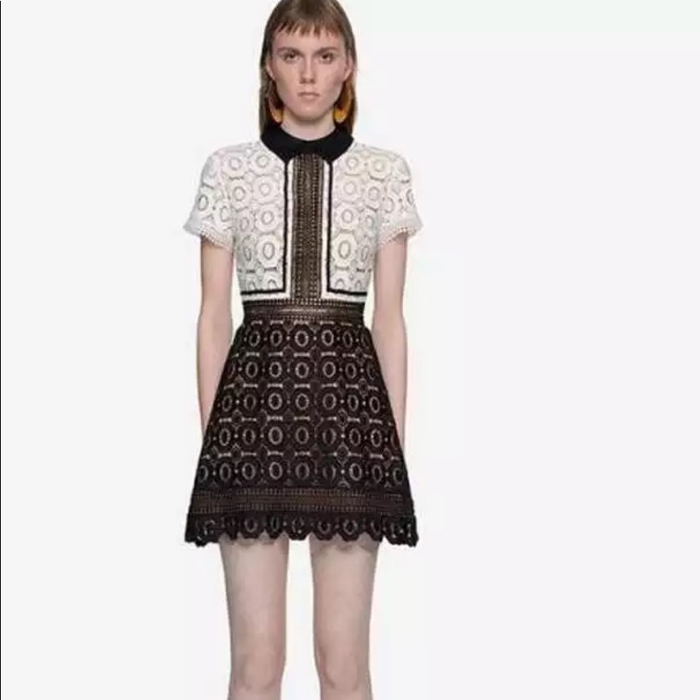 ❌Sold❌ Collar Dress GUC - Picture 1 of 6